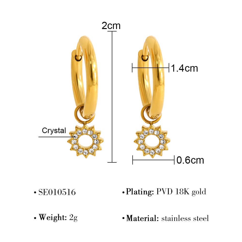 Crystal Charm Stainless Steel Hoop Earrings