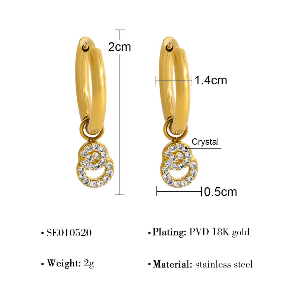 Crystal Charm Stainless Steel Hoop Earrings