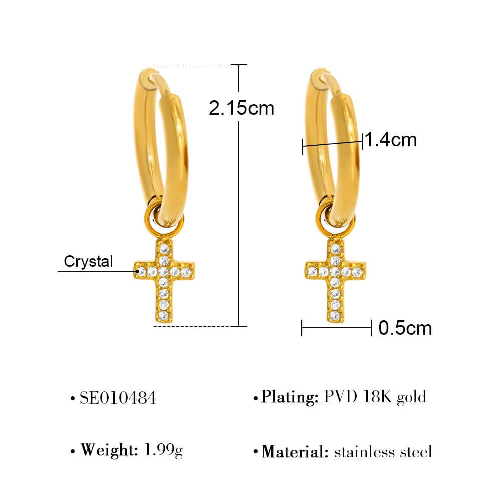 Crystal Charm Stainless Steel Hoop Earrings
