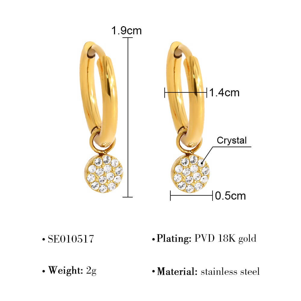 Crystal Charm Stainless Steel Hoop Earrings