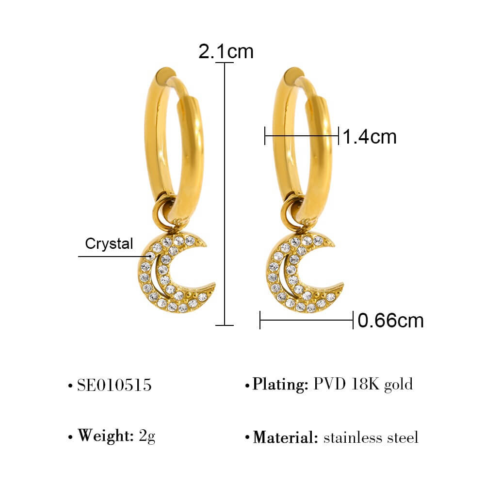 Crystal Charm Stainless Steel Hoop Earrings